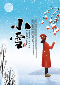 小雪大气海报