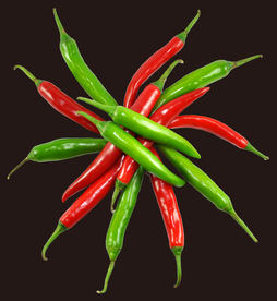 辣椒