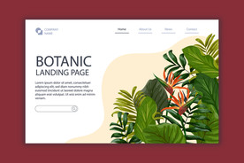植物网站UI界面主页