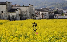 二十四节气 24节气图 24节