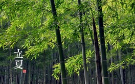 二十四节气 24节气图 24节