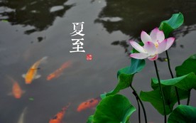 二十四节气 24节气图 24节