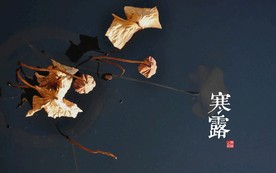 二十四节气 24节气图 24节