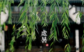 二十四节气 24节气图 24节