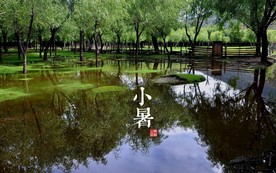 二十四节气 24节气图 24节