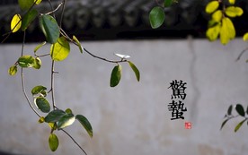 二十四节气 24节气图 24节