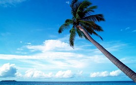 马尔代夫 壁纸 图片  结婚