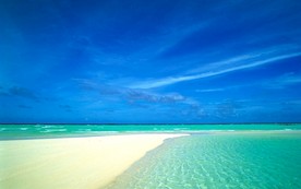 马尔代夫 壁纸 图片  结婚