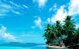 马尔代夫 壁纸 图片  结婚