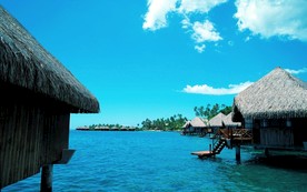 马尔代夫 壁纸 图片  结婚