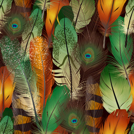 手绘逼真羽毛插画背景