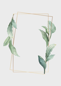 手绘植物花卉背景