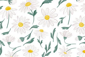 手绘植物花卉背景