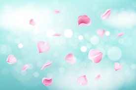 手绘植物花卉背景