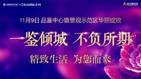 样板间开放 景观示范区开放