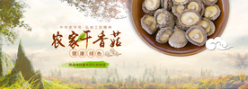 淘宝土特产干香菇