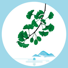 银杏树