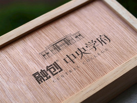 木纹封面logo样机展示