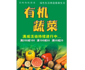 有机蔬菜