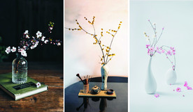 JPG格式手机壁纸