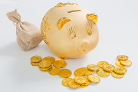 金猪存钱罐