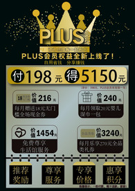 plus会员
