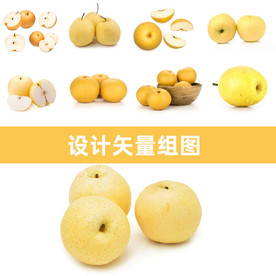 黄金梨矢量