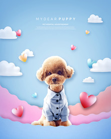 宠物狗海报