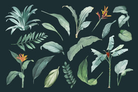 手绘植物树叶背景