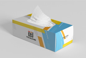 餐巾纸包装盒效果图样机