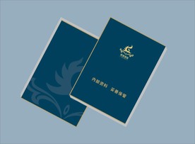 创意vi设计