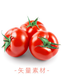 番茄 西红柿