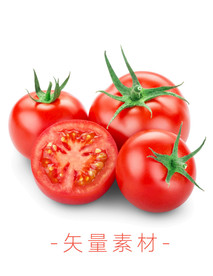 番茄 西红柿