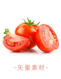 番茄 西红柿