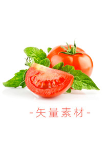 番茄 西红柿 蔬菜 矢量 高清