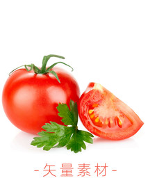 番茄 西红柿