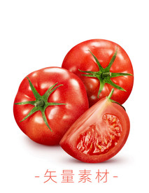 番茄 西红柿