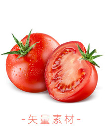 番茄 西红柿