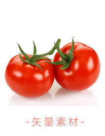 番茄 西红柿