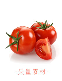 番茄 西红柿