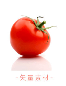 番茄 西红柿