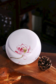 茶叶茶器摄影 绿茶 西湖龙井