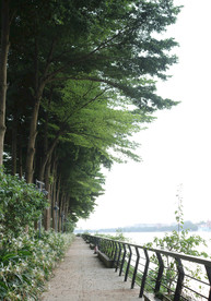 江边小路