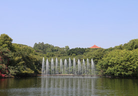 喷池