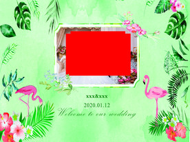 火烈鸟森系婚礼照片