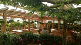 生态餐厅农家乐图片