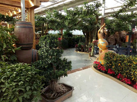 生态餐厅农家乐图片