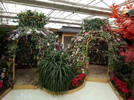 生态餐厅农家乐图片