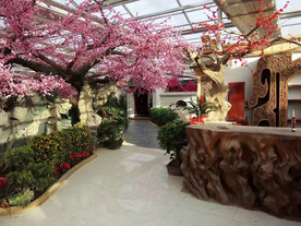 生态餐厅农家乐图片