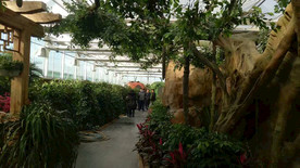 生态餐厅农家乐图片